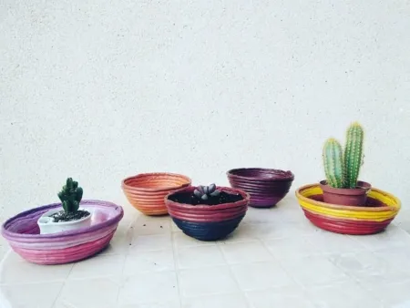 Macetas cactus