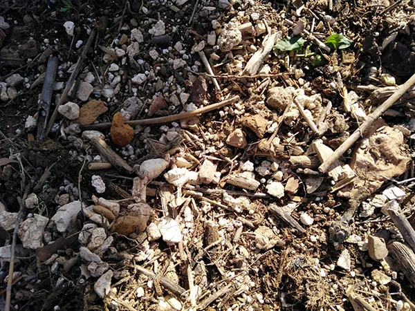 Microplásticos en el Carmolí