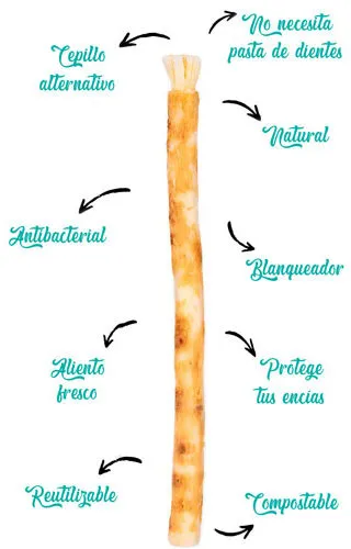 siwak-menor-plastic